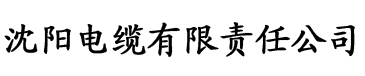 理论片理论片hd电缆厂logo